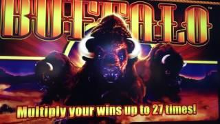 MAX BET - Buffalo & Copper Cash