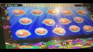 *** HIGH LIMIT *** LIVE PLAY on Lucky Lion Fish Slot Machine with Bonus