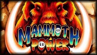 Mammoth Power • Fu Daddy • Echo Fortunes •