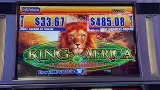 Chasing Major Progressive King of Africa. Was it worth it?