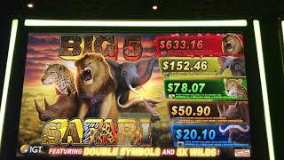 Big 5 Safari • Progressive Wins • Kickapoo Lucky Eagle  Casino