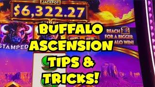 Slot Tips & Tricks on Buffalo Ascension! What To Look For!