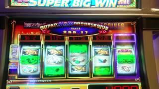 Super Multi Progressive King of the Wild Slot Machine - Reel 5 Progressive Bonus won!