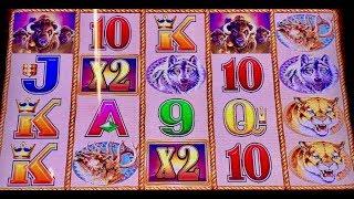 •️BUFFALO GOLD •️FU NAN FU NU •️REEL RICHES SLOT MACHINE MOHEGAN SUN