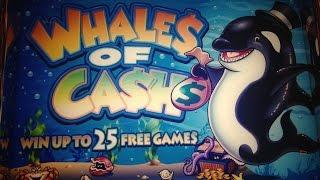 Whales of Cash Slot machine BONUS BIG WIN 5￠slot 50 bet ($2.50) x 331