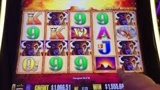 Buffalo Gold Slot Machine Jackpot!  YOU HAVE NEVER SEEN THIS!  This will change your LIFE!