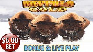 BUFFALO GOLD 1ST SPIN BONUS   $6.00 MAX BET LIVE PLAY & BONUSES  SLOT MACHINE
