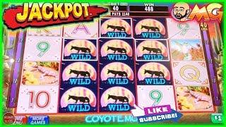 AMAZING WILDS LINE HIT  JACKPOT HANDPAY  CAT'S  COYOTE MOON HIGH LIMIT BETS