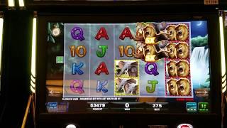 Big 5 Safari Slot Machine Live Play w/Max Bet & PROGRESSIVE JACKPOT