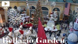 Walking Bellagio Conservatory & Botanical Garden Christmas Display 2018