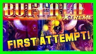 BUFFALO EXTREME GOLD • FIRST IMPRESSIONS • BIG WINS ON A CLASS 2 MACHINE? • LIVE CASINO PLAY