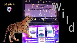 TIGER Polar High Roller Electric Wild VGT Slots "2 Live Jackpots"JB Elah Slot Channel Choctaw Casino