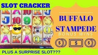 Buffalo Stampede WIN! + Surprise Slot Machine!