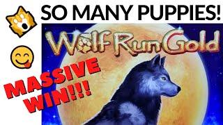 MASSIVE WINNING on NEW WOLF RUN GOLD SLOT MACHINE POKIE - FIRST TIME PLAYING & BONUSES AND LINE HIT
