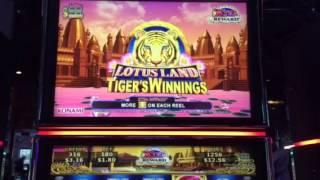 Lotus Land Tiger's Winnings Slot Machine Line Hit SLS Casino Las Vegas