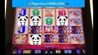Huge Buffalo Gold run! Amazing Big Bonuses!