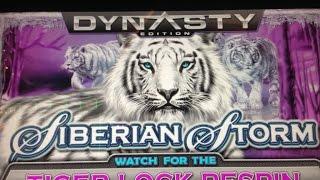 SIBERIAN STORM Slot machine (DYNASTY EDITION) IGTBONUS NICE WIN2￠$1.30 Bet (First attempt)