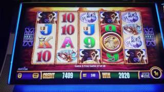 Wonder 4 Slot play - Buffalo Gold - All Bonuses 3/11/17 Part 2 of 2