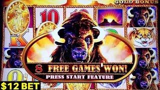 Buffalo Gold Slot Machine - BIG WIN w/$12 Bet Bonus | Chasing Bonus on Wild Fury Slot Machine