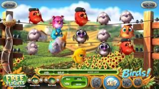 Birds Slot Features and Game Play - by BetSoft