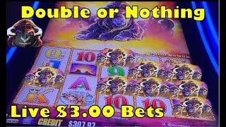Buffalo Gold | Double Up or Nothing Challenge | Big Win Session