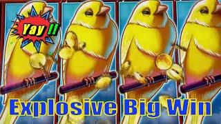 EXPLOSIVE BIG WIN ! !SWEET TWEET (DROP & LOCK) Slot (SG) $5.00 & $2.50 Bet  2 Slot Play栗スロ