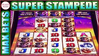 SUPER STAMPEDE FEATURE MAX BET! BUFFALO ASCENSION SLOT MACHINE