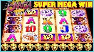 OMG WE LANDED A MASSIVE WIN ON BUFFALO GOLD SLOT MACHINE | MULTIPLIERS COIN SHOW