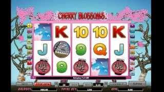 Cherry Blossoms - Onlinecasinos.Best