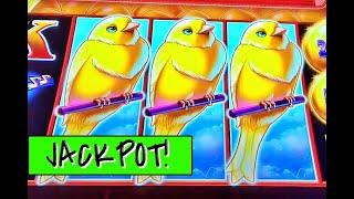 JACKPOT HANDPAY: Sweet Tweet Slot + new slot play