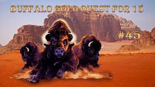 Chasing Buffalo Gold #45 LIVE