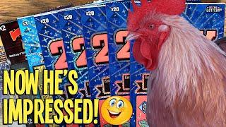NOW HE'S IMPRESSED!  1 in 229! 5X $20 200X  $130 TEXAS LOTTERY Scratch Offs