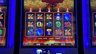 WinsDay live