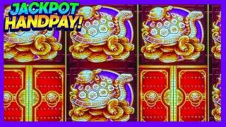 I PICKED TURTLES THIS TIME - HOW MUCH DID I WIN AND IS IT WORTH PICKING - 5 TREASURES SLOT