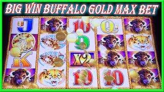 BUFFALO GOLD COME BACK BIG WIN  SLOT MACHINE LIVE PLAY & BONUS