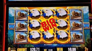 Birds of Pay Slot Machine Nice Line Hit  8 Wilds Added!!!!