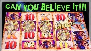 CAN YOU BELIEVE IT?  BUFFALO GOLD DID NOT TAKE MY MONEY!