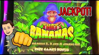 JACKPOT HANDPAY: 3 Bonuses in a Row on That's Bananas Slot high limit
