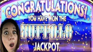 Buffalo JACKPOT!! OVER 900X MY BET !!! Super free games !!!