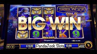 Big Wins on TimberWolf Gold at the Bellagio Las Vegas