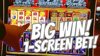 WAS THIS CRAZY?! BIG WIN! BETTING ON JUST 1 BUFFALO SCREEN  (WONDER 4 BOOST GOLD) Slot Machine