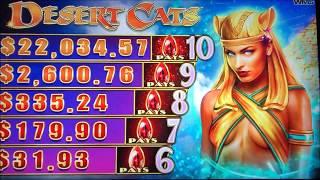 AMAZING BONUS WIN !DESERT CATS (IGT) Slot $3.75 Max Bet$125 Free Play Slot Live Play彡栗スロ
