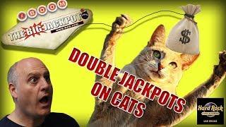 Double Jackpots on CATS  at Hard Rock Casino Las Vegas | The Big Jackpot