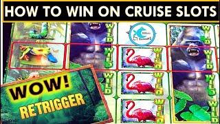 HOW TO WIN ON SLOTS @ SEA! ADVANTAGE PLAY FOR THE WIN!  JUNGLE WILDS SLOT BONUSES & CHOCOLATE...YUM!