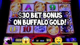 $30 Bet Bonus on Buffalo Gold!  Upping the Bet, Upping the EXCITEMENT