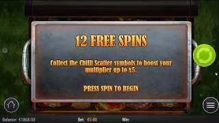 SIZZLING SPINS (PLAY'N GO) - BIG WIN