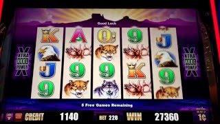 Buffalo Slot Machine Bonus Coeur d'Alene Casino