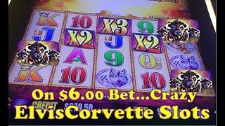 Buffalo Gold | Super Huge Win | $6.00 Max Bet | Thank you Gus and Erin