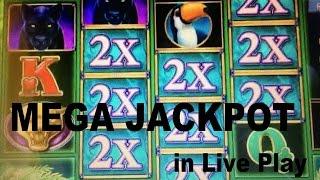MEGA ! Super Jackpot in Live Play!! Impressive win ! Prowling Panther Slot  Live play$5.00 Bet