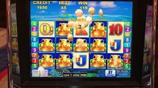 Real Turtles jackpot Hit by Actual Channel Owner  #credibility | The Big Jackpot